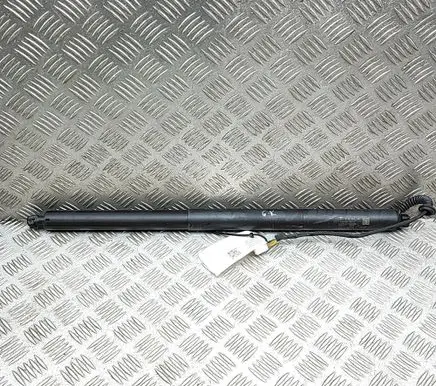 Tesla Model Y Juniper Tailgate/trunk strut/damper 193202599D