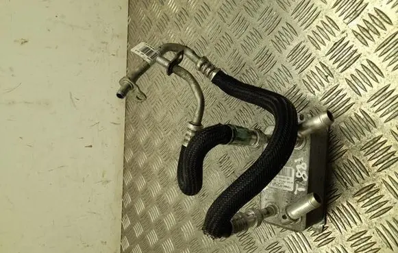 Ford Edge II Engine oil radiator DG937A095BB