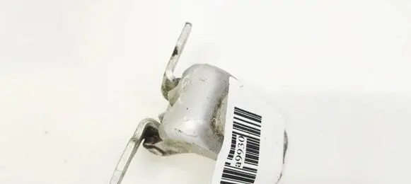 Renault Laguna III Rear door lower hinge
