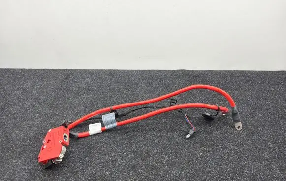 BMW 1 F20 F21 Positive cable (battery) 9253111 9230017