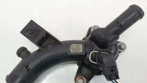 Thermostat/thermostat housing