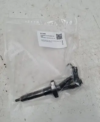 Renault Espace - Grand espace IV Fuel injector 8200034534