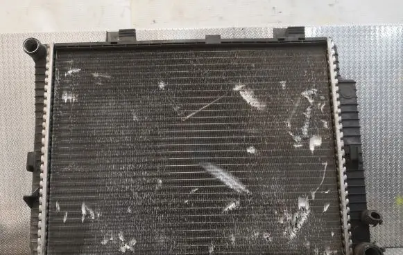 Mercedes-Benz E W210 Coolant radiator 2105006103