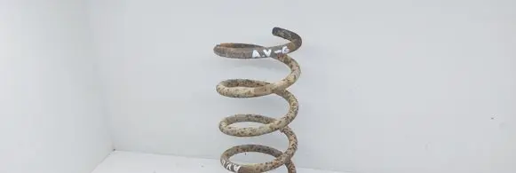 Toyota Avensis Verso Rear coil spring