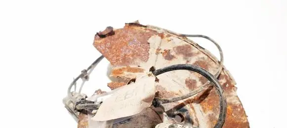 Ford Galaxy Other wiring loom 6g9t2c055fbh