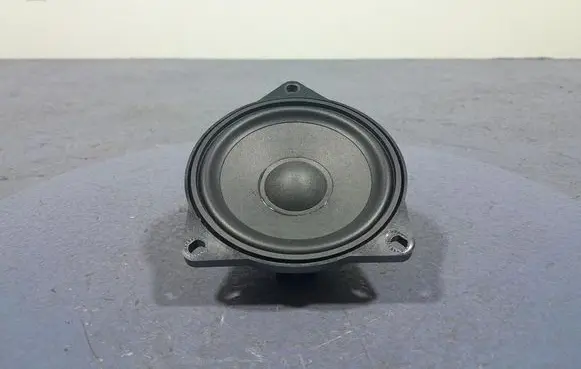BMW X3 E83 Subwoofer speaker 2622517
