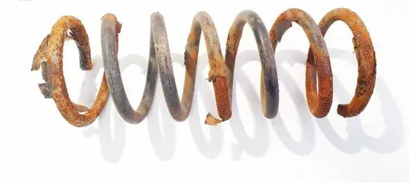 Rear coil spring