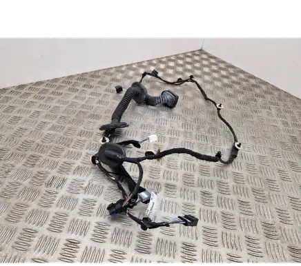 Renault Scenic IV - Grand scenic IV Front door wiring loom 241255444R 151803 03730