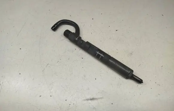 Nissan NV200 Fuel injector 28237259 166000897R