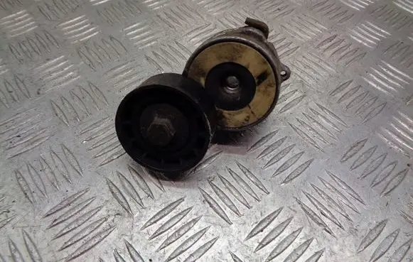 Peugeot 406 Alternator belt tensioner pulley 