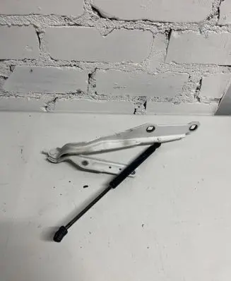 Dodge Charger Engine bonnet/hood hinges 55113551AF 55113777AB