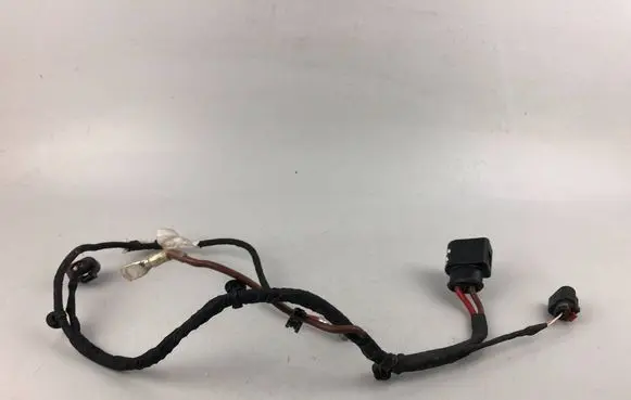 Other wiring loom