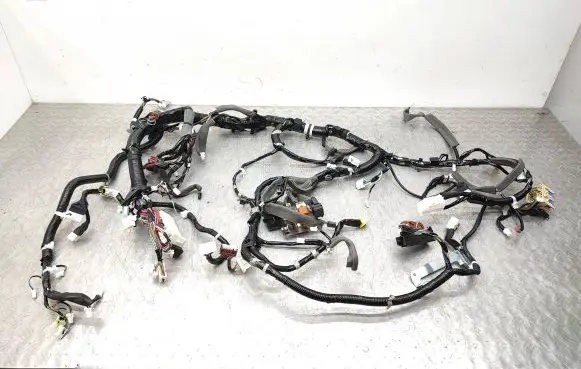 Nissan Qashqai Panel wiring 240104EF1C 12453055004