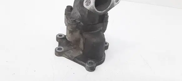 Thermostat/thermostat housing