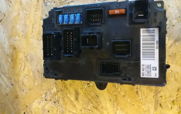 Peugeot 407 Fuse module S120017003L