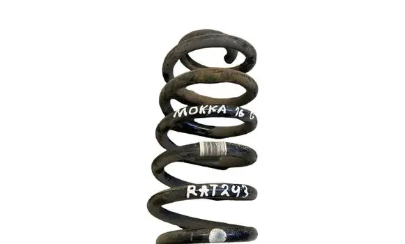 Rear coil spring