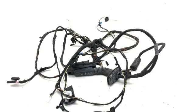 BMW 7 F01 F02 F03 F04 Front door wiring loom 9169242 916924201