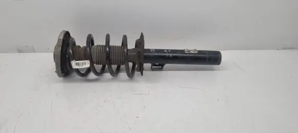 BMW X3 F25 Front shock absorber/damper 31316796418 679641804