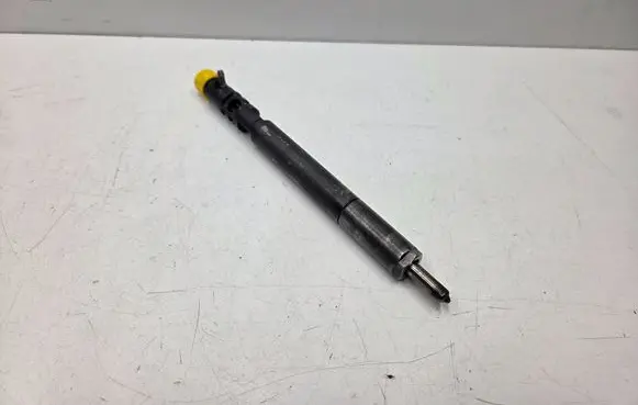 SsangYong Rodius Fuel injector A6650170321