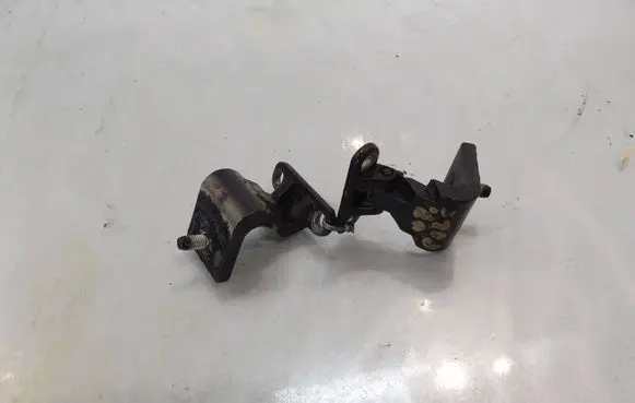 Volkswagen Cross Polo Tailgate/trunk/boot hinge