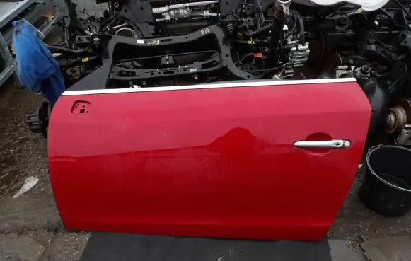 Renault Megane III Front door