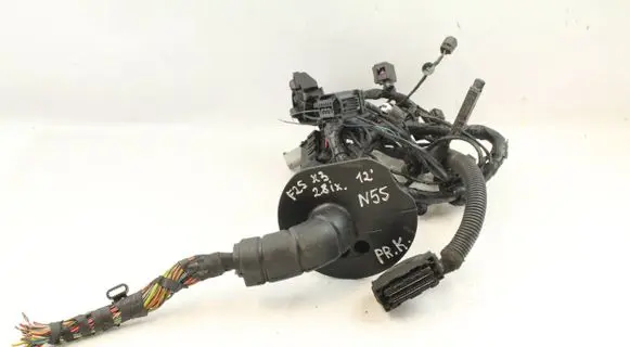 BMW X3 F25 Other wiring loom 9252431 61119252431