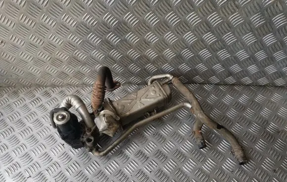 Skoda Roomster (5J) EGR valve 0280751016 03P131512D 03P131521A