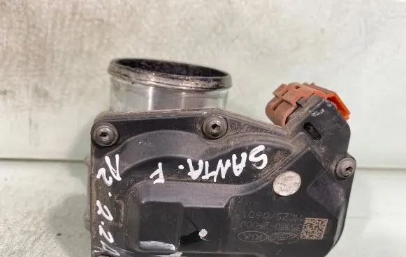 Hyundai Santa Fe Throttle body valve 351002f000 11c25001