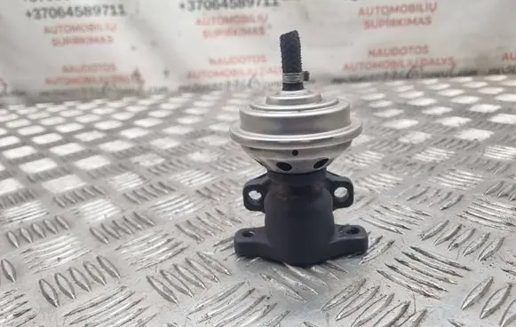 Volkswagen PASSAT B5 EGR valve 028131501E