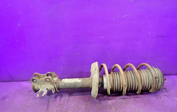 Fiat Punto (199) Front shock absorber with coil spring GP32618