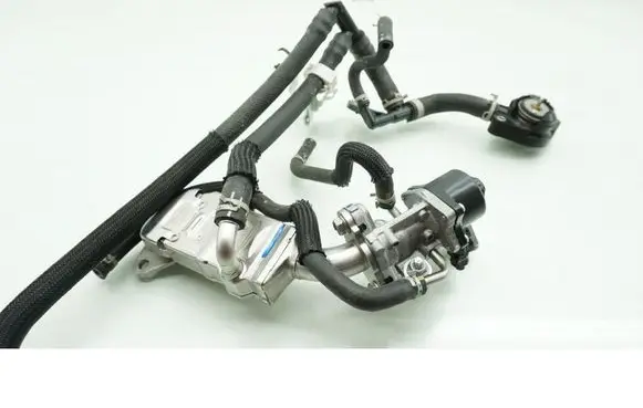 EGR valve