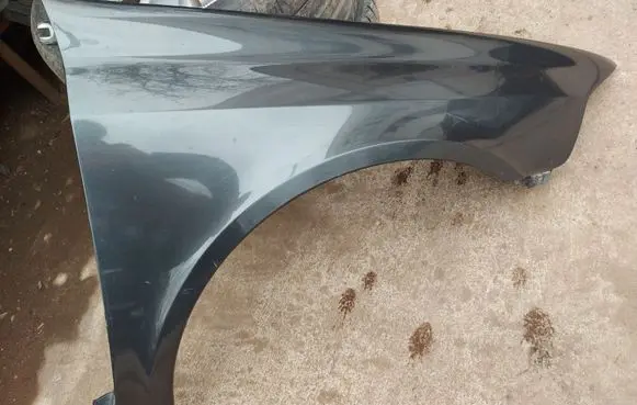 Renault Laguna II Fender