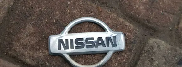 Nissan Terrano Manufacturers badge/model letters 
