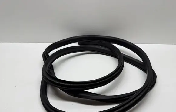 Nissan Qashqai Rear door rubber seal (on body) 6003491
