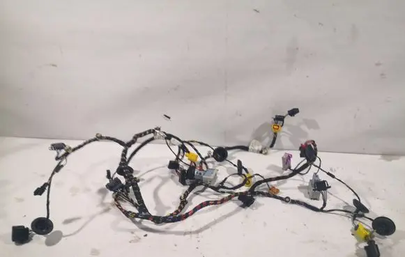 Front door wiring loom