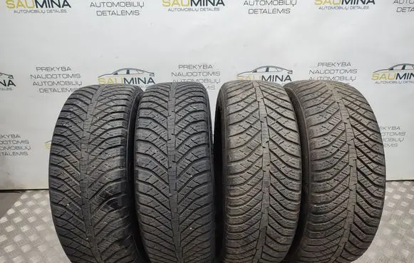 Skoda Yeti (5L) R16 winter tire 20555R16