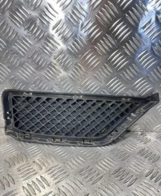 BMW X1 E84 Front bumper lower grill 51117303754