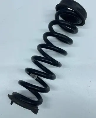 Rear coil spring