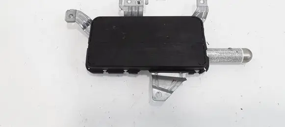 Front door airbag