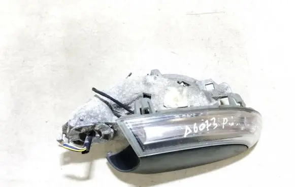 Volkswagen PASSAT B6 Mirror indicator light 