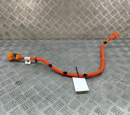Audi E-tron GT Other wiring loom 9J1971008A
