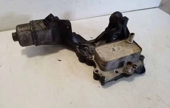 Chevrolet Captiva Oil filter mounting bracket 96868256 25183865