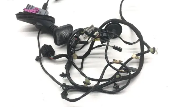 Front door wiring loom