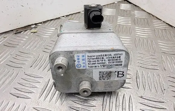 Opel Mokka B Air conditioning (A/C) expansion valve 9831600480 EV29035426 EGH10M043