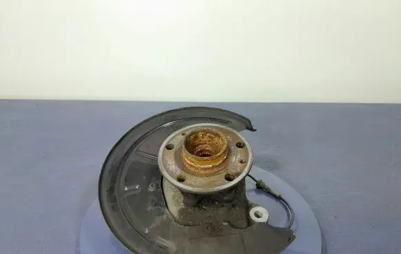 Renault Laguna III Front wheel hub spindle knuckle 402001809R