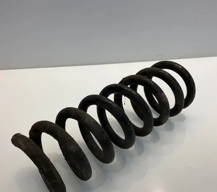 Rear coil spring