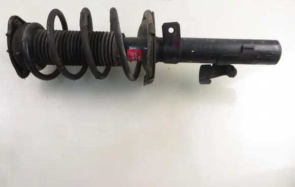 Ford Focus Front shock absorber with coil spring 334839