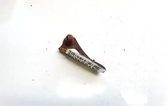 Toyota Avensis T250 Other exterior part