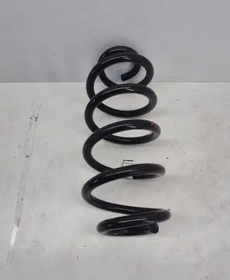 Rear coil spring