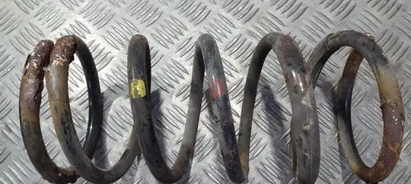 Chevrolet Tacuma Rear coil spring